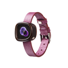 Load image into Gallery viewer, Kelir Gentle Purple